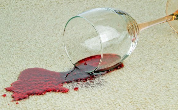 Carpet Stain Removal Services