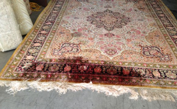 Rug Stain Removal Services