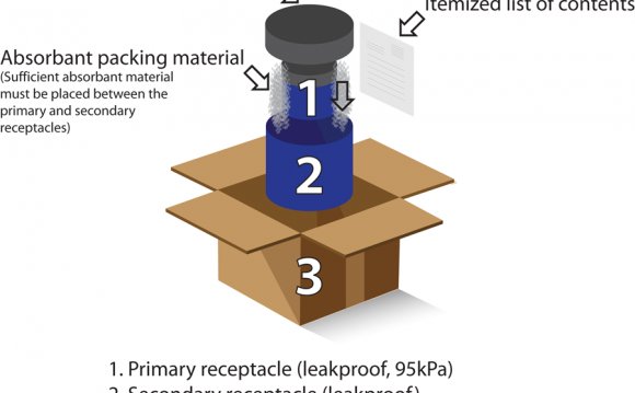 Diagram of 3 Packaging