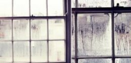 Condensation Windows