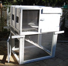 Double decker chicken tractor made with repurposed shipping crate