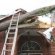 Tree Removal Service cost