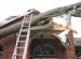 Tree Removal Service cost