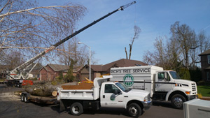 Rich's Tree Service