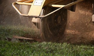 Stump Grinding