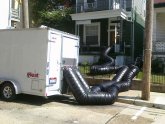 Bed Bug Removal Services