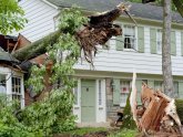 Marietta Tree Removal Service