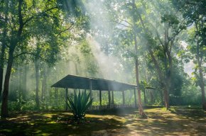 Using Shade To Cool A Shipping Container Home