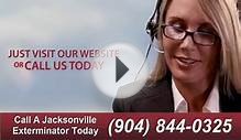 24 Hour Flea Removal Services Jacksonville Fl