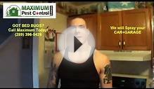 Bed bugs Removal Services - Residential & Commercial