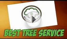 Best Tree Removal Service Salt Lake-801-326-4501-Tree