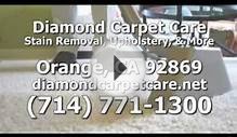 Carpet Cleaning Service, Pet Stain Odor Removal in Orange