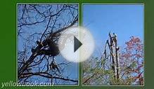 Four Seasons Tree Service LLC - Pigeon Forge, TN