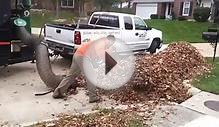 Leaf Removal Service & Leaf Collection