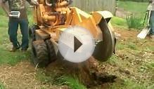 Stanley Tree Service stump removal