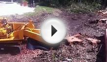 Stump Removal Service Miami - Stumpman Tree Service 305