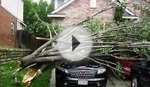 Tree Removal Service Akron ,OH | (234) 208-5617 | Low cost