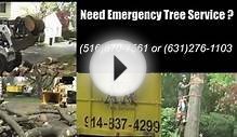 Tree Removal Services, Long Island, NY