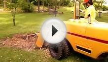 Tree Service/Stump Removal Troy Michigan - 248.321.0744