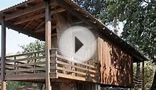 TRICKED-OUT SHIPPING CONTAINER HOMES : Two-Tree House, by